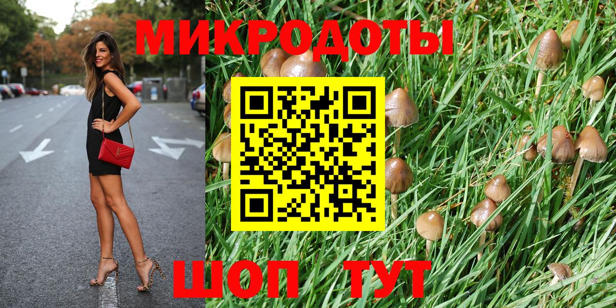 Псилоцибиновые грибы GOLDEN TEACHER  Вход с VPN  Псилоцибиновые грибы GOLDEN TEACHER  Новокубанск 